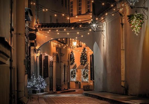 Exclusive Gaono Apartment In The Heart Of Old Town Wilna Exterior foto